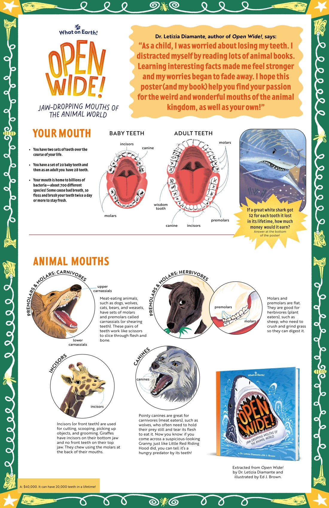 The cover of Open Wide, a scientific book for children about mouth, teeth, tongue, sharks, dinosaurs