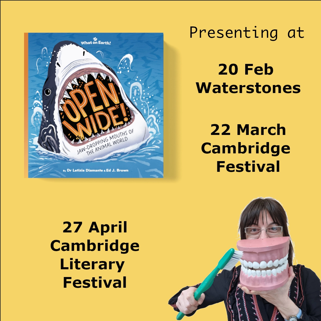 flyer with the book Open wide! and details to attend the event in cambridge